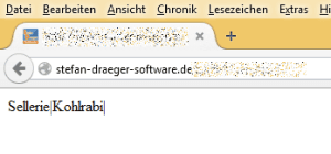 Ausgabe der PHP Schnittstelle im Browser.