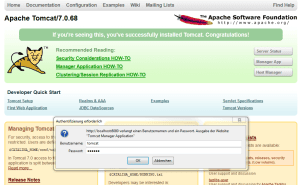 Apache Tomcat, anmelden an die 