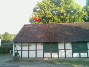 Bild von der Raspberry PI Camera B01