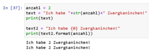 Python3 - Formatieren von Strings mit der Funktion format