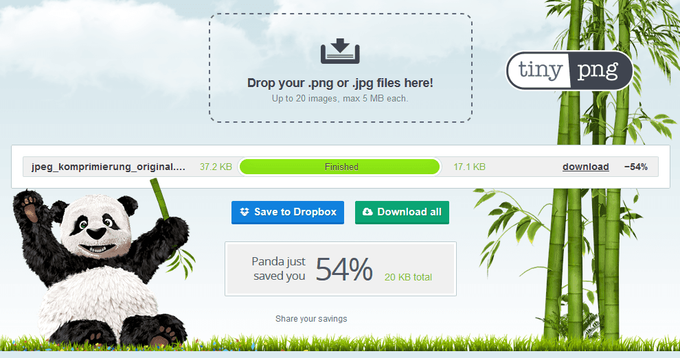 Webseite TinyPNG.com mit komprimiertem Bild