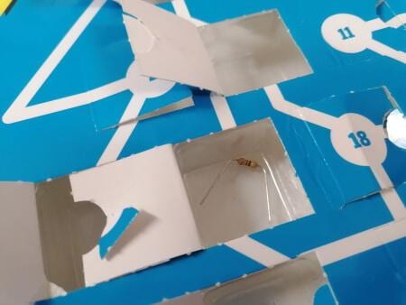 Inhalt Türchen Nr. 22 des Conrad Adventskalender 2021