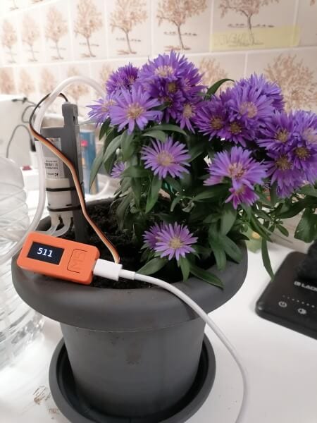 Anzeige des Wertes des Bodenfeuchtesensors auf dem LCD Display