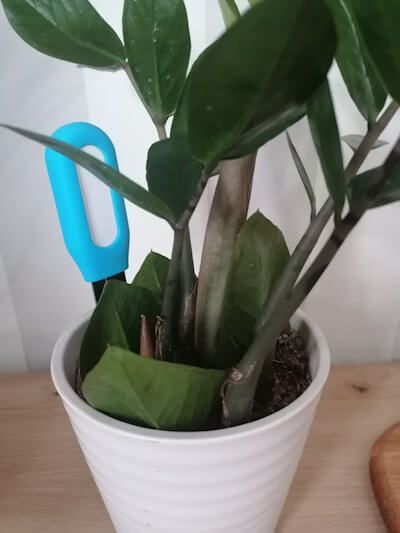 Plant Monitor im Blumentopf