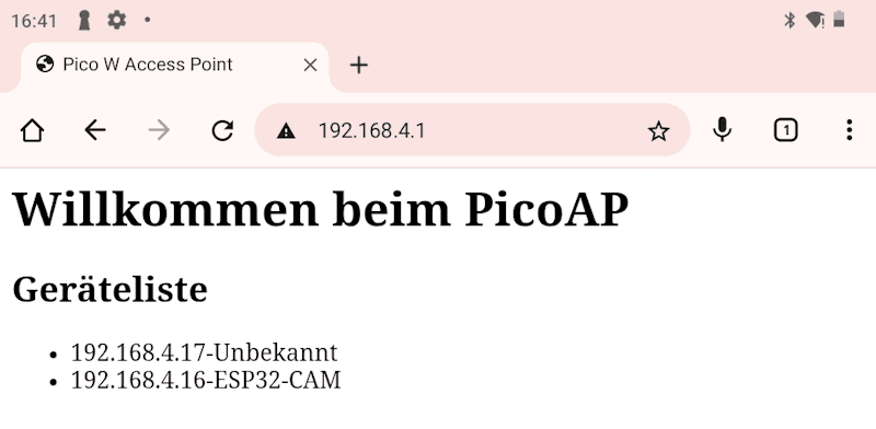 PiPico2W - AccessPoint Weboberfläche mit Geräteliste