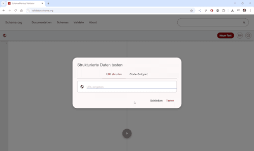 Schema Markup Validator - Step 1 - Hauptseite