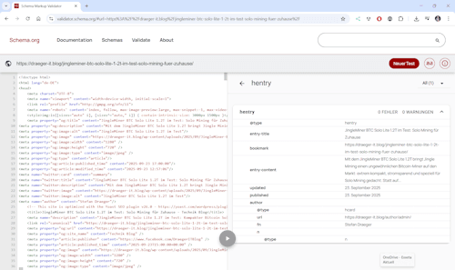 Schema Markup Validator - Step 2 - Analyse und hentry Daten