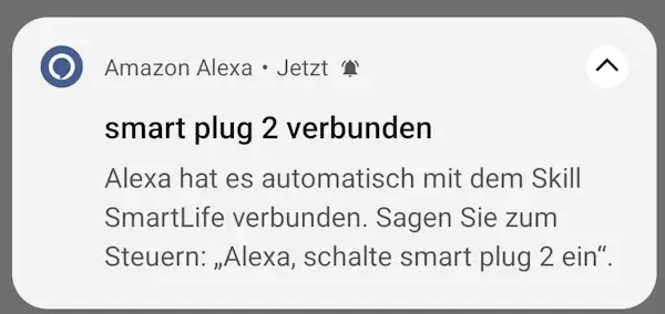 CurrySmarter WiFi-Stecker mit Alexa verbunden