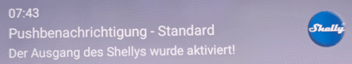 Shelly Push Benachrichtigung - Handy deaktiviert