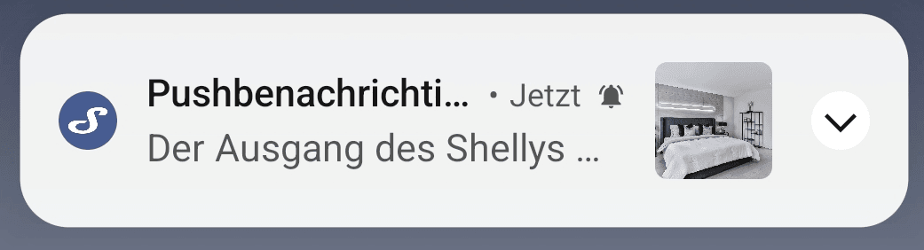 Shelly Push Benachrichtigung - Handy aktiviert