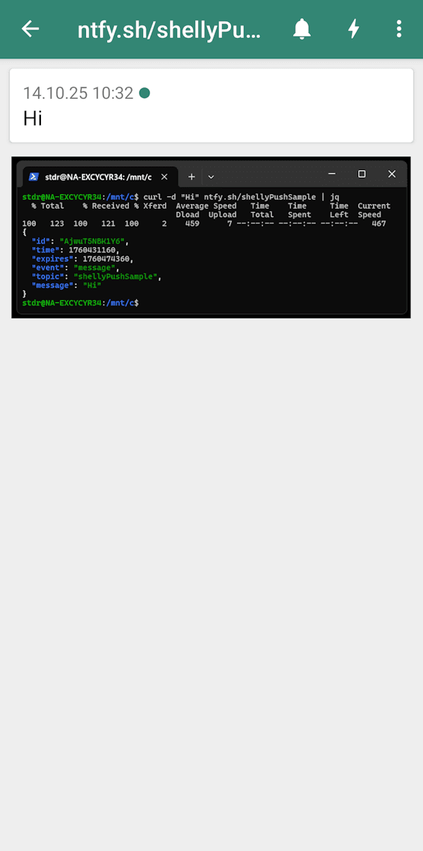 ntfy.sh - Einrichten Step 4