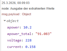 Ausgabe extrahierter Daten im Debug-Tab