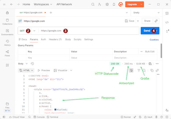 Postman - einfache HTTP Anfrage - Step 2