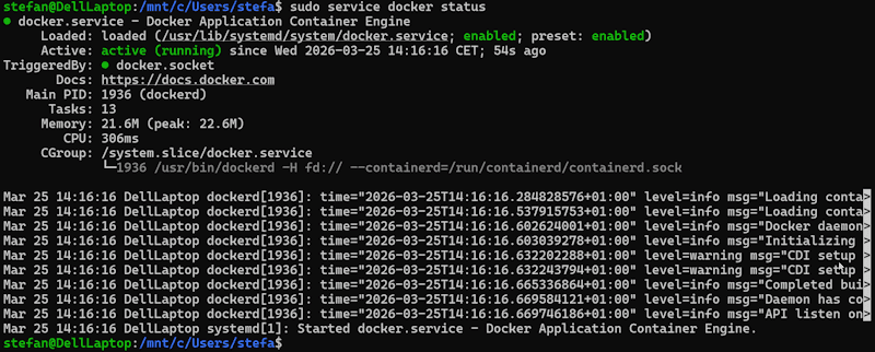 Status des gestarteten Docker Services