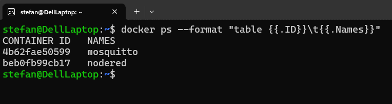 Ausgabe der Container ID und Names der Docker Container
