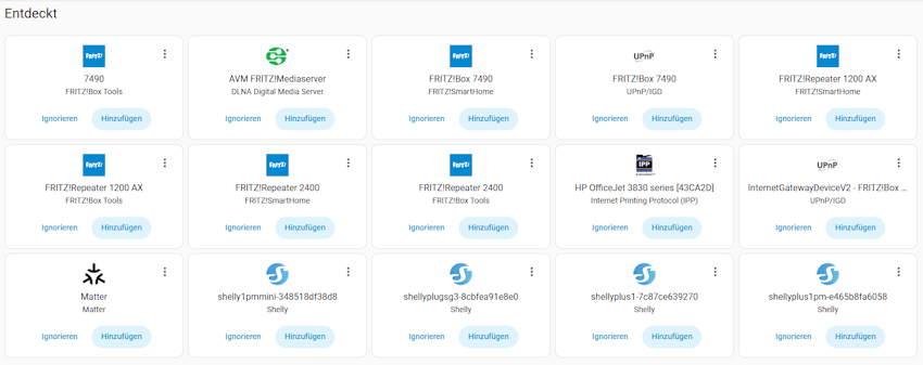 Entdeckte Geräte im Home Assistant nach der Einrichtung