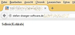 Ausgabe der PHP Schnittstelle im Browser.