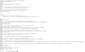 Ausgabe des Build Scriptes auf der Konsole.