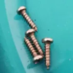 Schrauben für die Platte des Kameramodules