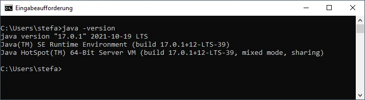 Anzeigen der Java Version in der Konsole