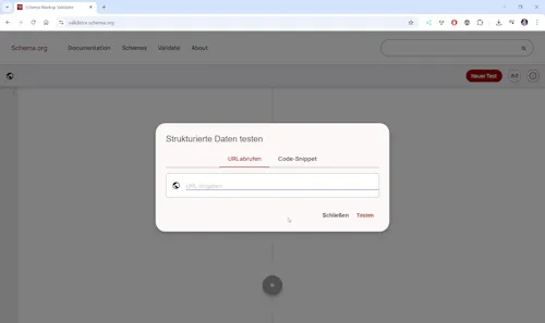 Schema Markup Validator - Step 1 - Hauptseite