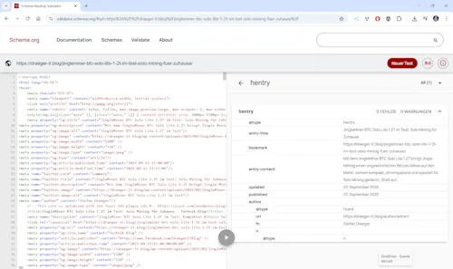 Schema Markup Validator - Step 2 - Analyse und hentry Daten